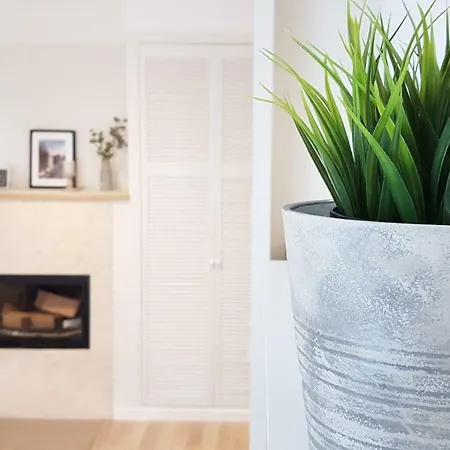 Renovated In Center Apartment *